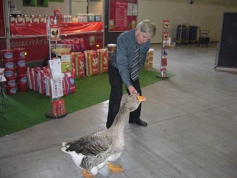 Munster 2009 864.jpg - Peter besichtigt mit Peter die Schau